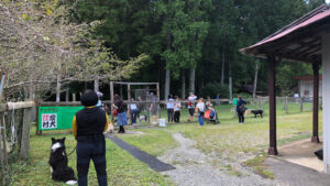 かしも愛犬村 ドッグラン