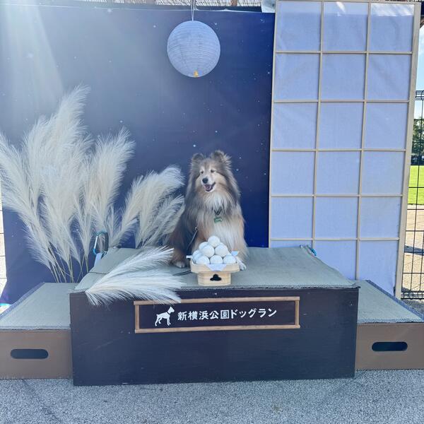 2025E5B9B49E69C88E38395E382A9E38388E382B9E3839DE38_thumb