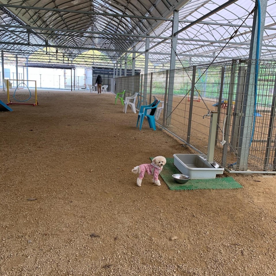 4ef546fe173767d218770f28972ed130_dogmap_spot