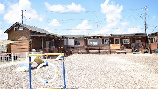 ドッグニュース（DOGNEWS！）ドッグラン