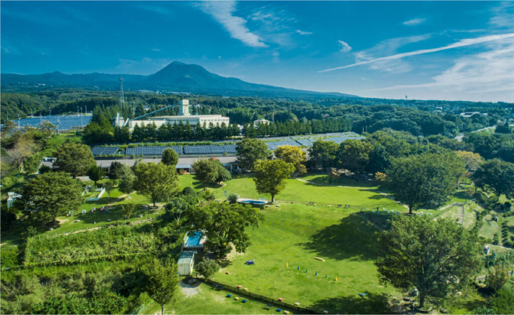 世界の名犬牧場 ドッグラン