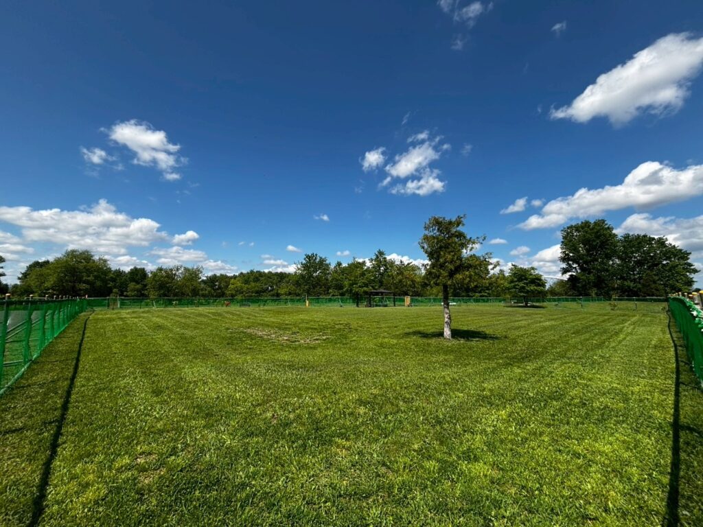 imgi_11_LINE_ALBUM_20250527_250527_2