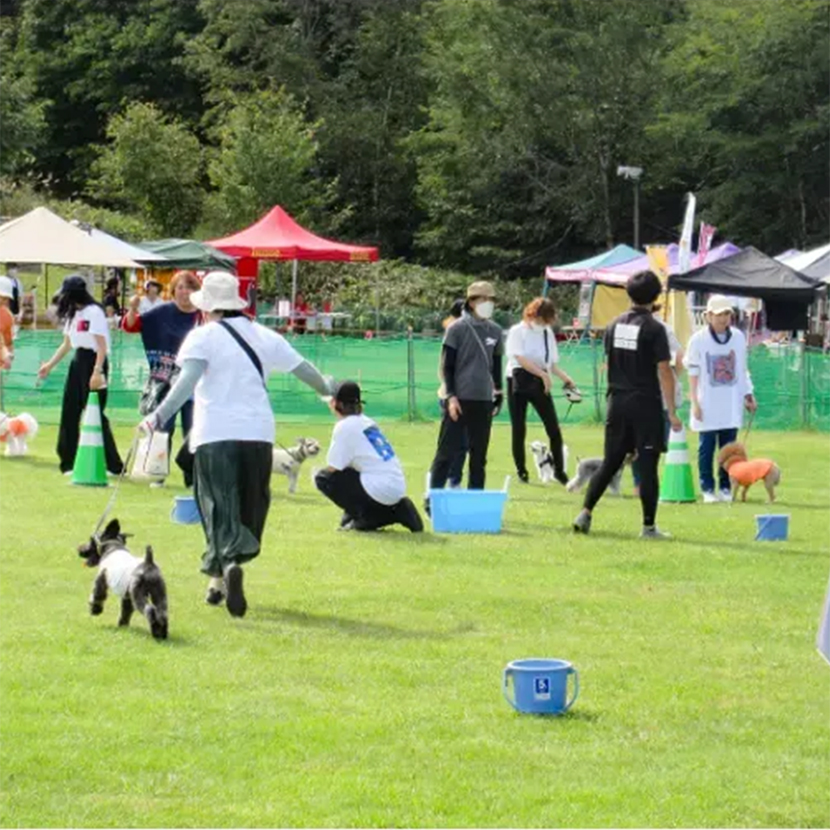 パークランド嵐山ドッグラン