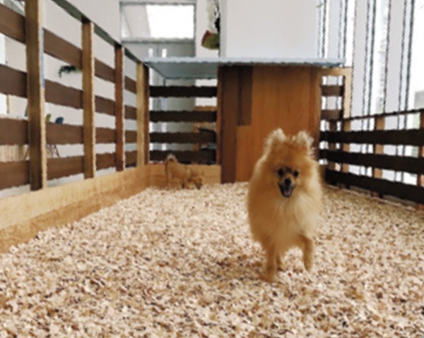 imgi_37_top_facilities_slide08